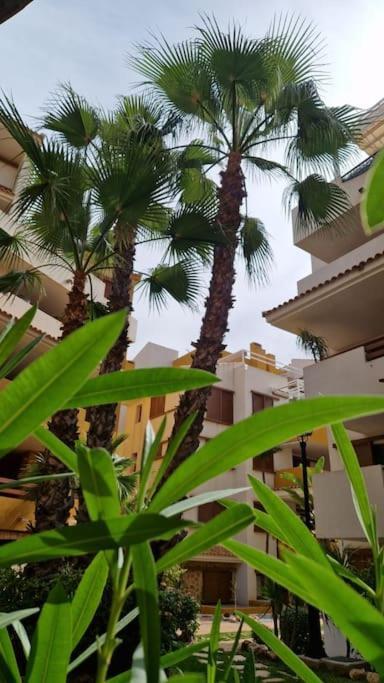 Olivia Sunny 2 Bedroom Apartament Punta Prima 또레비에하 외부 사진